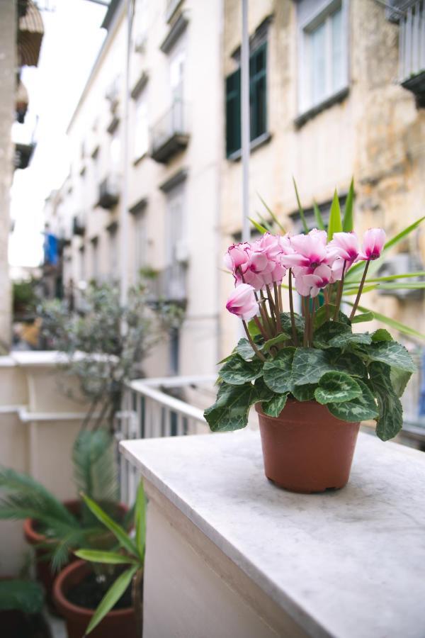 La Casa Del Nespolo, 2 Terrazzi E 2 Bagni In Centro Apartment Napoli Ngoại thất bức ảnh